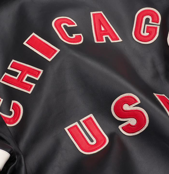 ICON JACKET(Genuine Leather custom made)